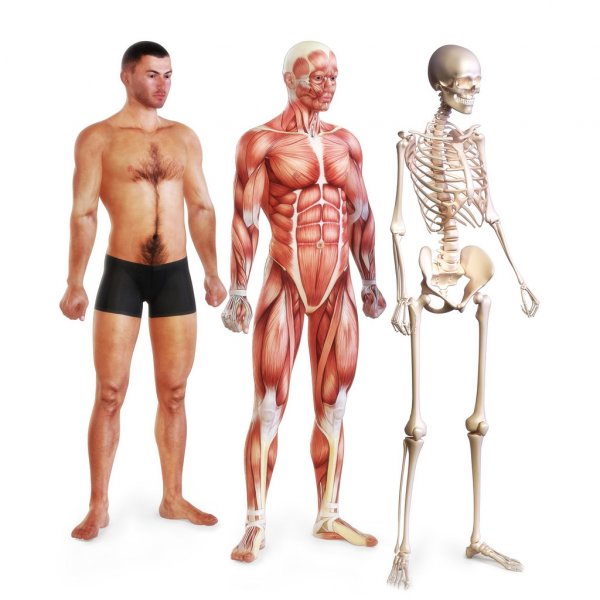 BitawsBrackley's tweet photo. https://t.co/sgtBH3dQ75
Boel Akupunktur klinik Aalborg er eksperter i akupunktur. 
https://t.co/WVpEEbCen8 https://t.co/qbDQvFvPxQ