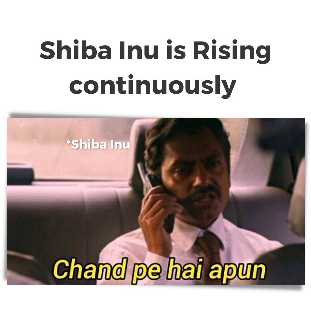 Shiba Inu🚀