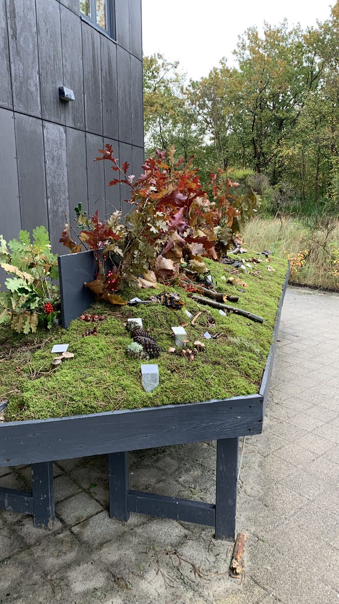 Patricia v. Lieshout🌱 tweet media