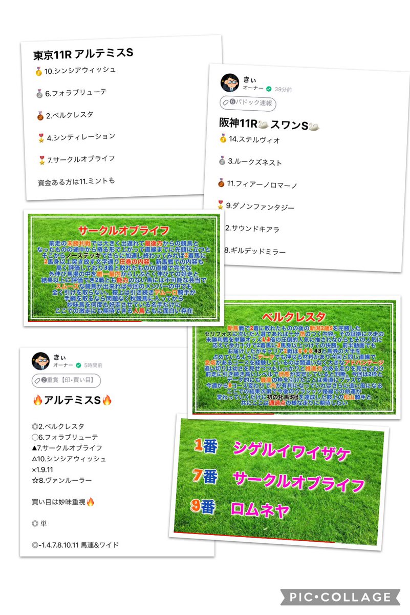 きぃの競馬ラジオ 毎週オカルト探すマン On Twitter アルテミスステークス完勝 ベルクレスタ 特注馬1頭出しかつ サークルオブライフ7番人気 シゲルイワイザケ8番人気 買い目は馬連ワイド総取りで勝ち確 パドックは2重賞とも連確保 スワンsの雪辱