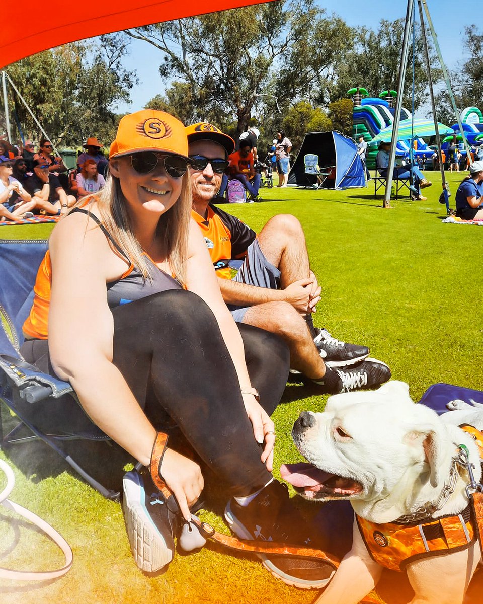 ScorchersBBL's tweet photo. This is why we LOVE Lilac Hill! 🧡 Our #MADETOUGH family and their doggos counting down to the #PoochParade at the innings break 🙌 #WBBL07 https://t.co/gmBPtuizSV