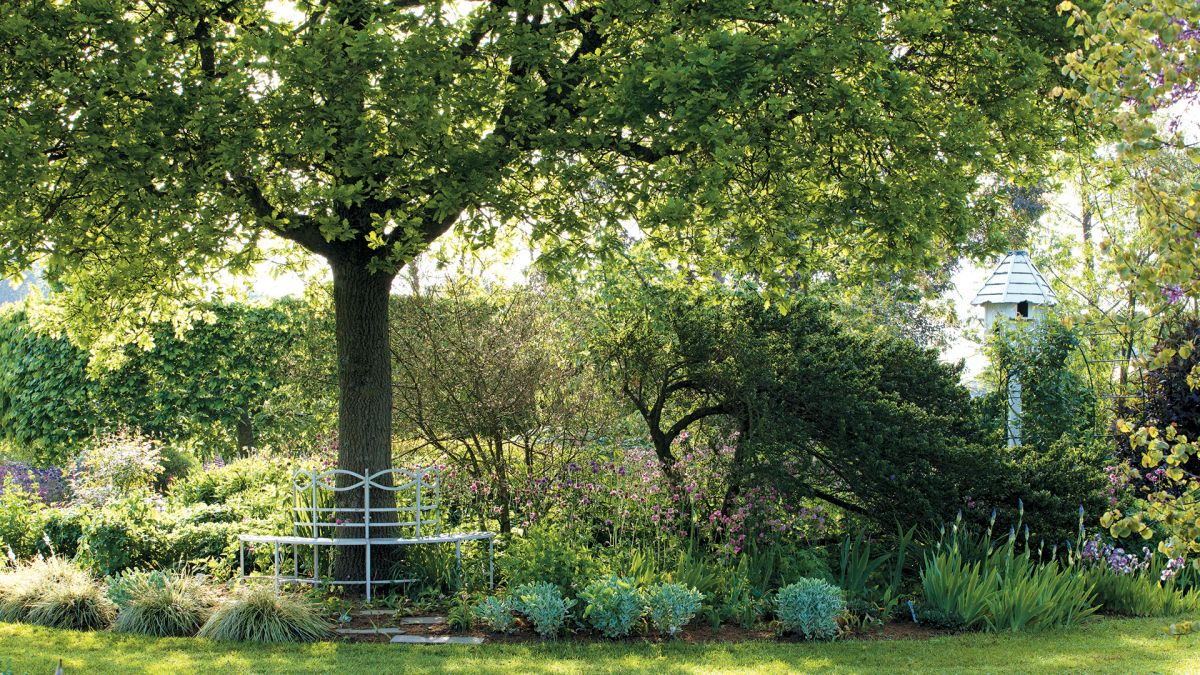 PeriodLivingMag's tweet photo. Best trees for shade – including fast-growing varieties https://t.co/M1dIigkNTh https://t.co/XANfzi3n2T