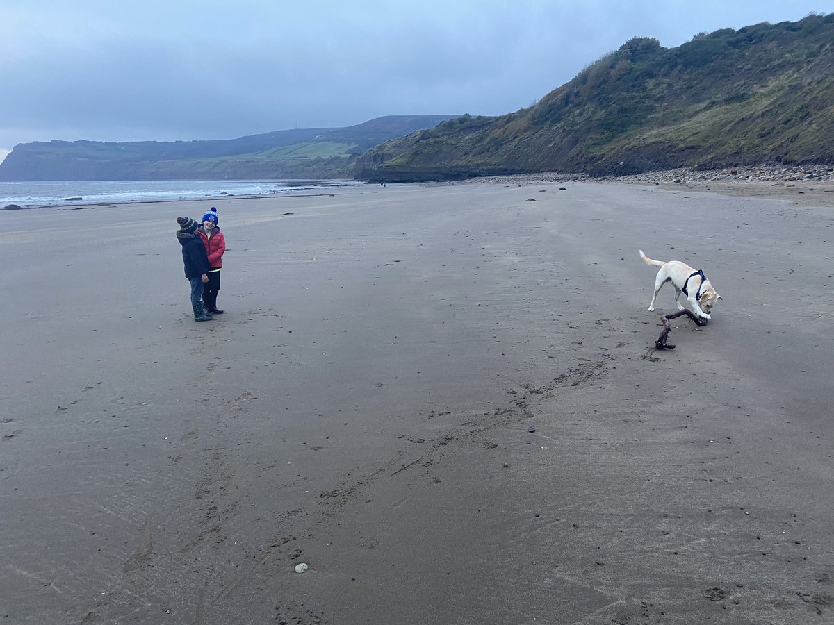 ironinlincoln's tweet photo. Too cloudy to see the #sunrise this morn but still great to be in the beach with these #herbets #RHB #goinghometoday https://t.co/7NcqbChVKA