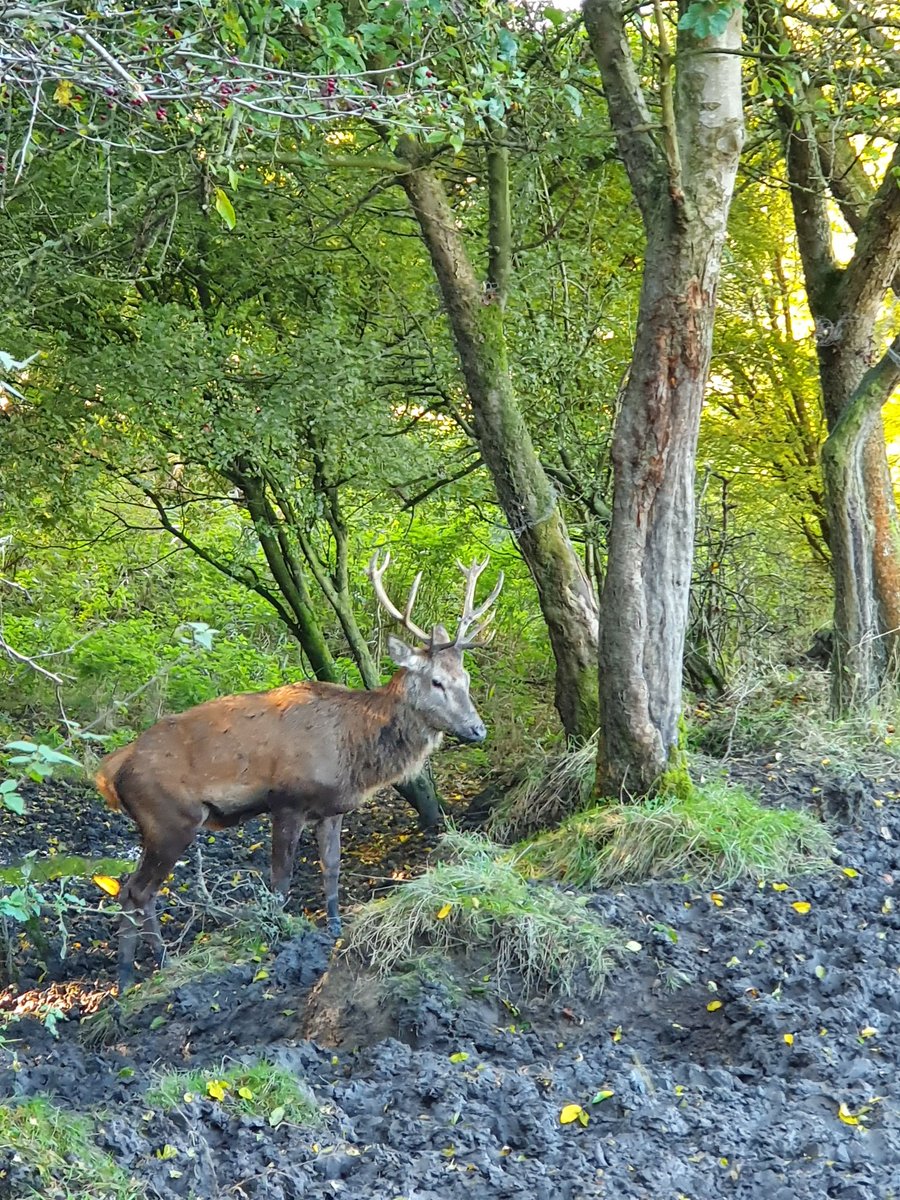 Herfst #Natuurpark #