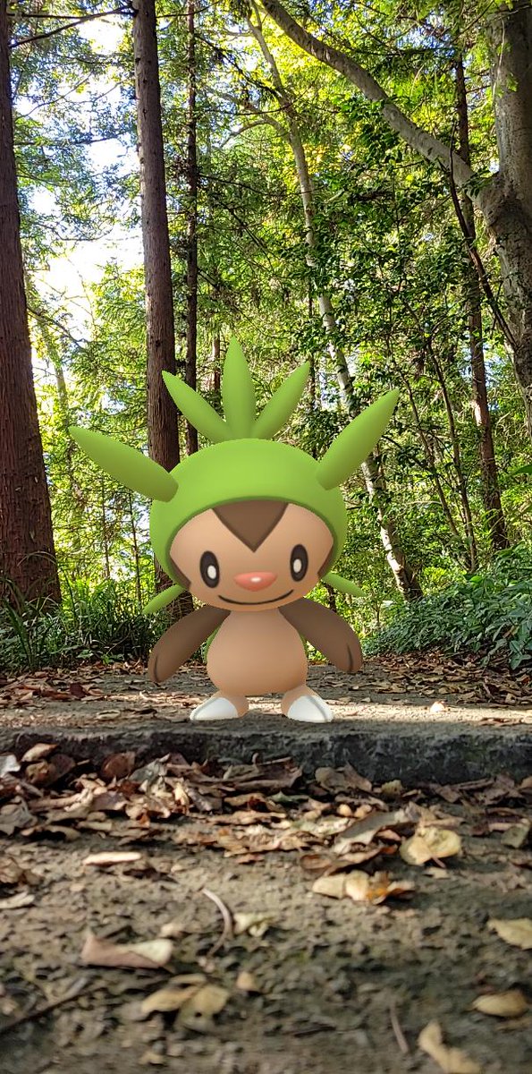 koodaing's tweet photo. ハリマロンとお散歩。
どんぐり探しの秋🍁
#ポケモンGO
#GOsnapshot
#CatchYours
#お散歩GO
#ポケモンと生活
#好きなようにGOしよう https://t.co/mbI4koX67c