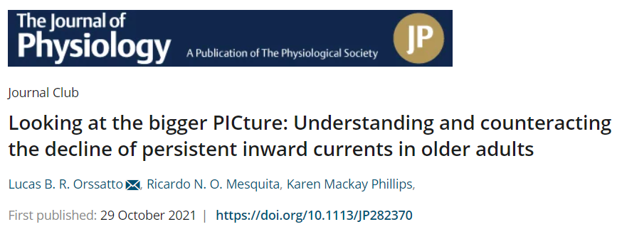 ricardoNOmesqui's tweet photo. [1/n]
🔎The bigger PICture🔍

⚡️🧓#PersistentInwardCurrents #Ageing 👴⚡️

📖Our Journal Club at @JPhysiol
https://t.co/reqjVwYbEo

👥Great team work w/ @orssattolucas &amp; @kmackayp 

👌Commenting the interesting study by:
Hassan, @gregorypearcey, @_frankyblack_, @LauraMMcP et al https://t.co/dLNBXKFcIu