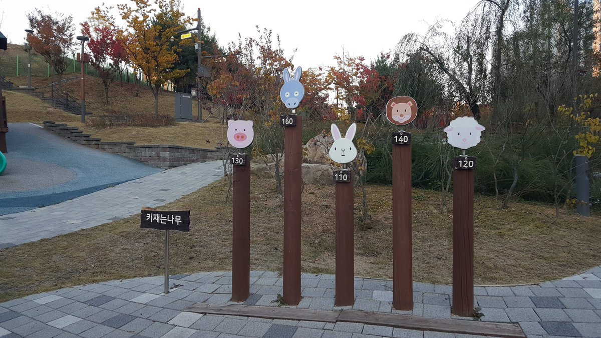 화성시 2동탄 호수 공원내 
어린이용 키재는 나무