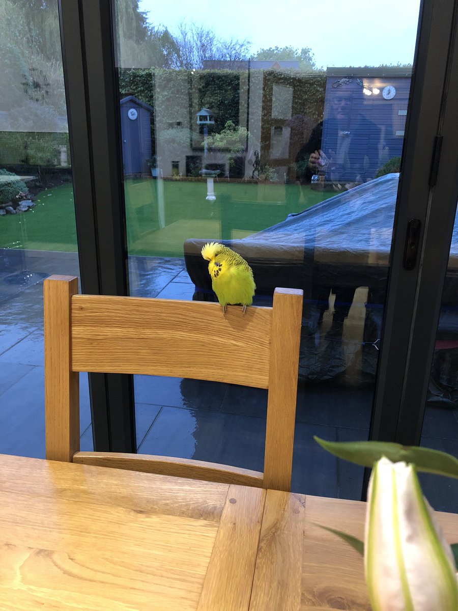 Stewart Bint tweet media