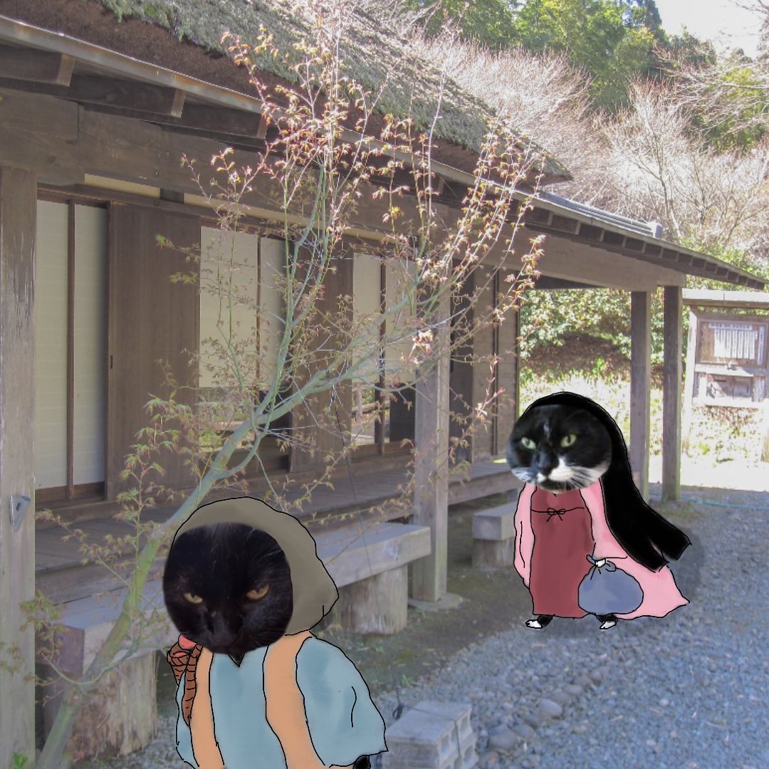 azakodeshi's tweet photo. しりいず　かぐやん③の上

#かぐや姫　#絵本　#猫の絵　#シュール　#変な猫 https://t.co/Gp4s56e0HB