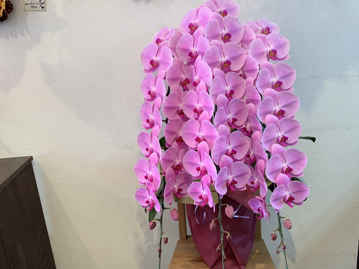 Hiuメンバーで運営 高級胡蝶蘭専門 グリーンベル 花屋 日本橋兜町 Greenbell1999 Twitter Hiuメンバーで運営 高級胡蝶蘭専門 グリーンベル 花屋 日本橋兜町 Greenbell1999 Twitter