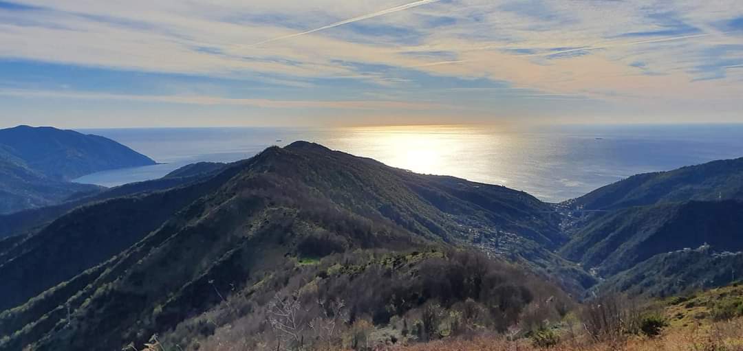 ValliAntola's tweet photo. Fate come #EmilioGrassi, salite sull'Antola per guardare lontano. @ValliAntola #lamialiguria a perdita d'occhio https://t.co/SSXRqeMi1Y