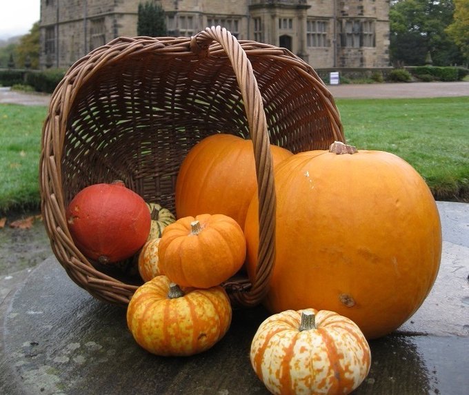 Today (Sat 30 Oct) is the final day of both #BritishTextileBiennial exhibitions at #GawthorpeHall. Plus brave the rain and bring the kids down for a muddy fun pumpkin trail in the grounds. More info here bit.ly/GawthorpeHallE…