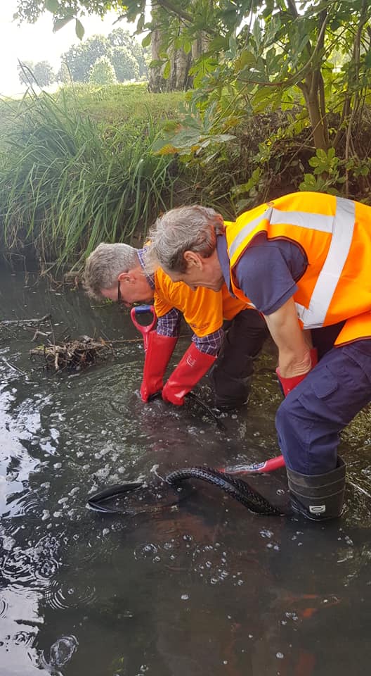 AlisonJArcher's tweet photo. It's #LondonRiversWeek and #PymmesBrookERS are going to be back in action in Arnos Park today! Rain? Rivers love it! Get your wellies on! #RiverCleanUp #LetsGetBusy @Thames21 @PGCommunity @pgactionteam @EnfieldSuDS https://t.co/nf9pIe5icm