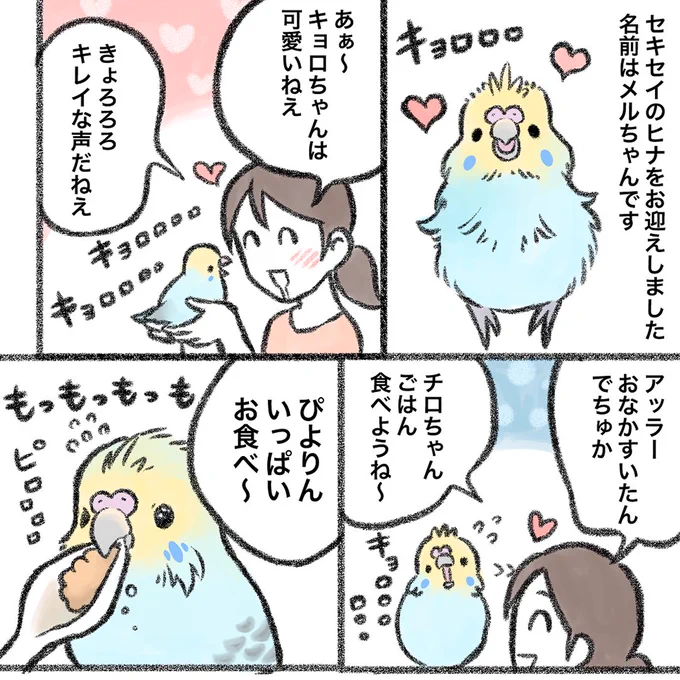 インスタにメルちゃんマンガをアップしました⤴️

今年の8月にお迎えしたときのことを描いています🦜💕
続きはこちらから読めます💁‍♀️↓↓
https://t.co/RJam9QhIaP 