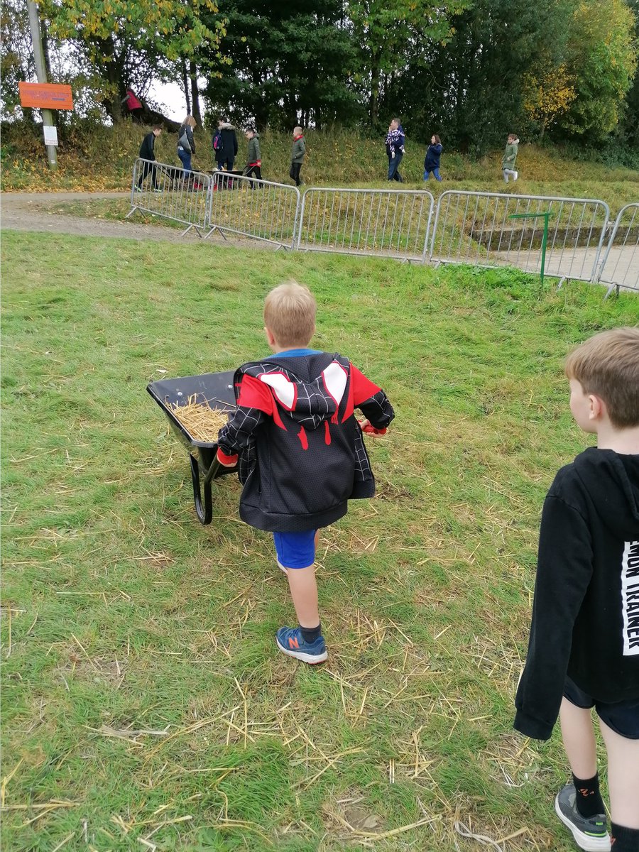 TedsEdward's tweet photo. Pumpkin patch! https://t.co/7iyFFsOU6U
