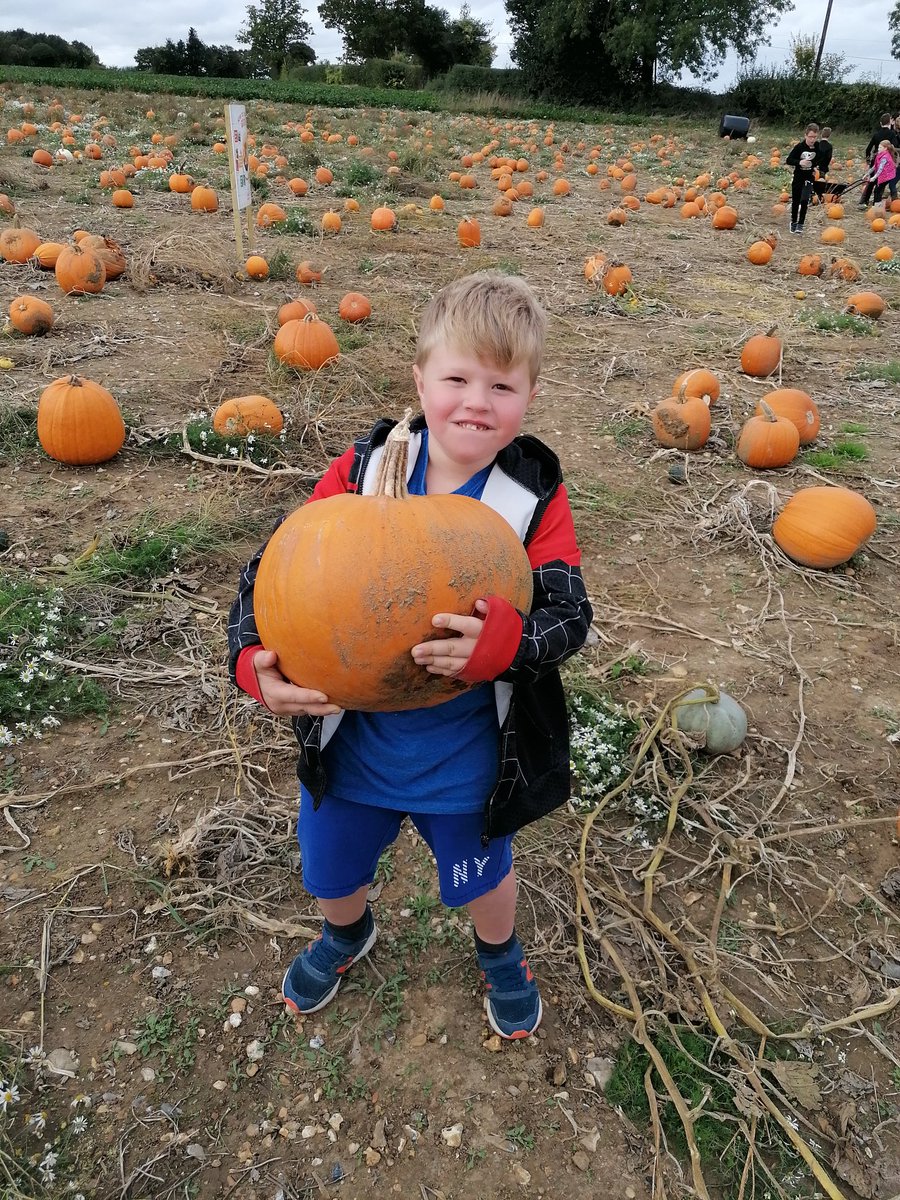 TedsEdward's tweet photo. Pumpkin patch! https://t.co/7iyFFsOU6U