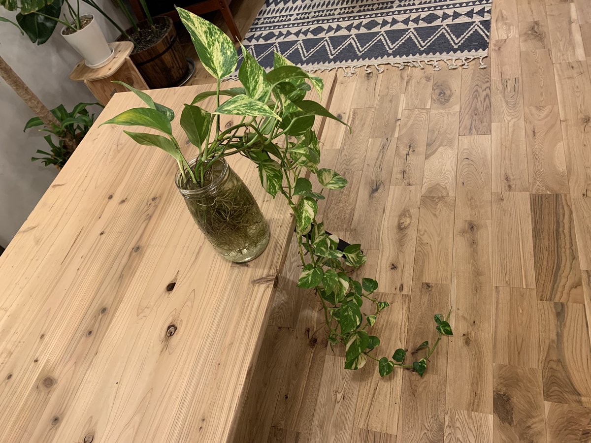 Life Magic tweet media