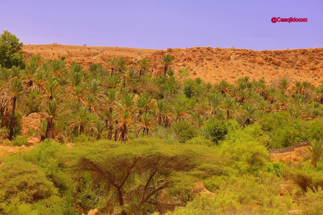 IbrahimHaashi's tweet photo. Galgala Bari Somaia 🇸🇴

#Beeraha_Galgala https://t.co/i0zePo5f0C