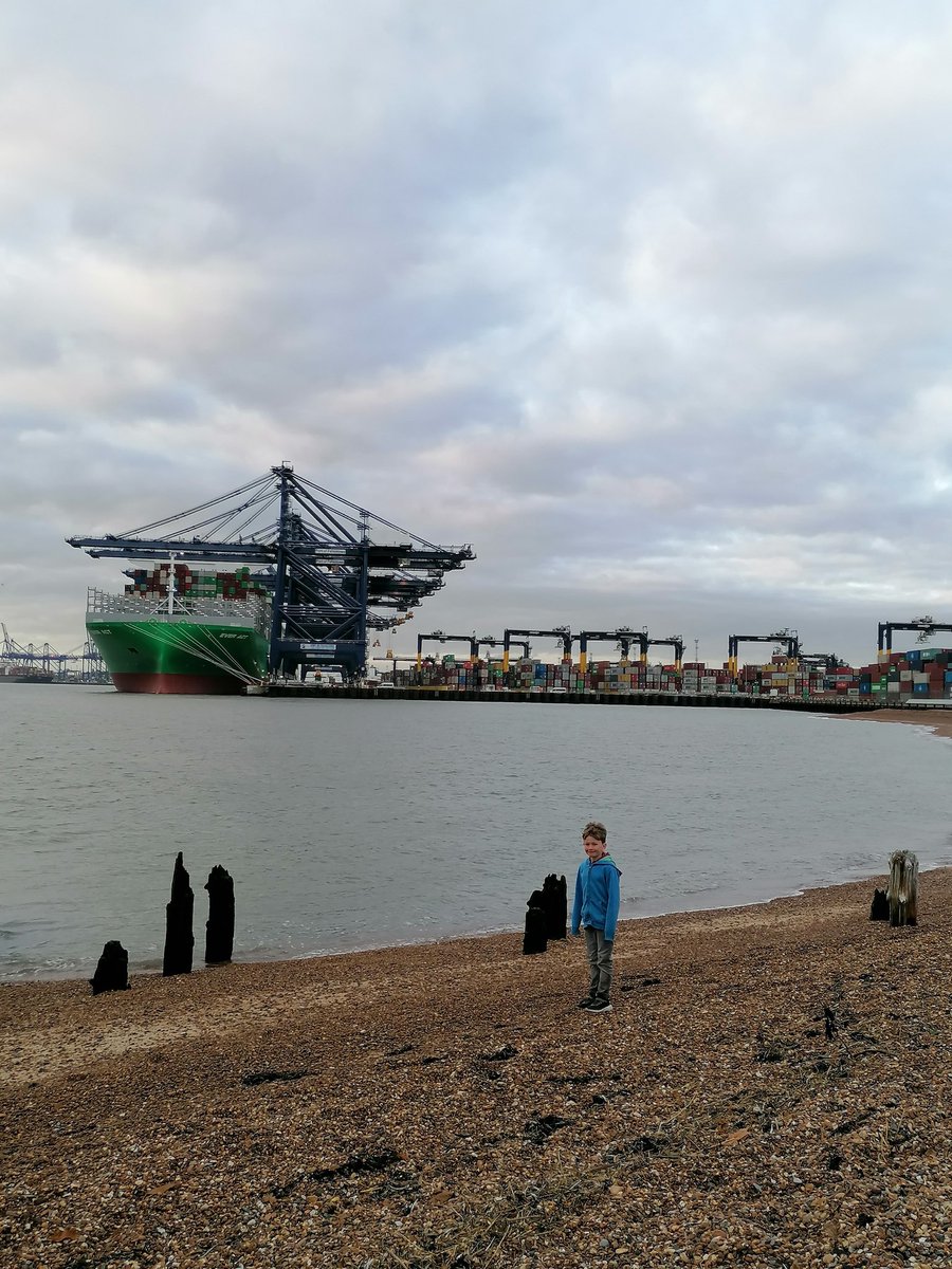 jacks_addison's tweet photo. Languard Fort and Docks was fun! https://t.co/iD6MVUbRRD
