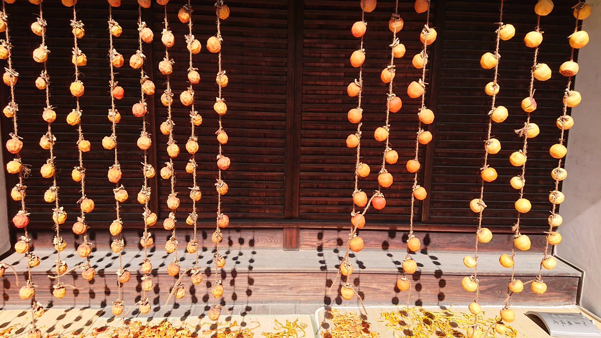 Elissa Tunisophile tweet media