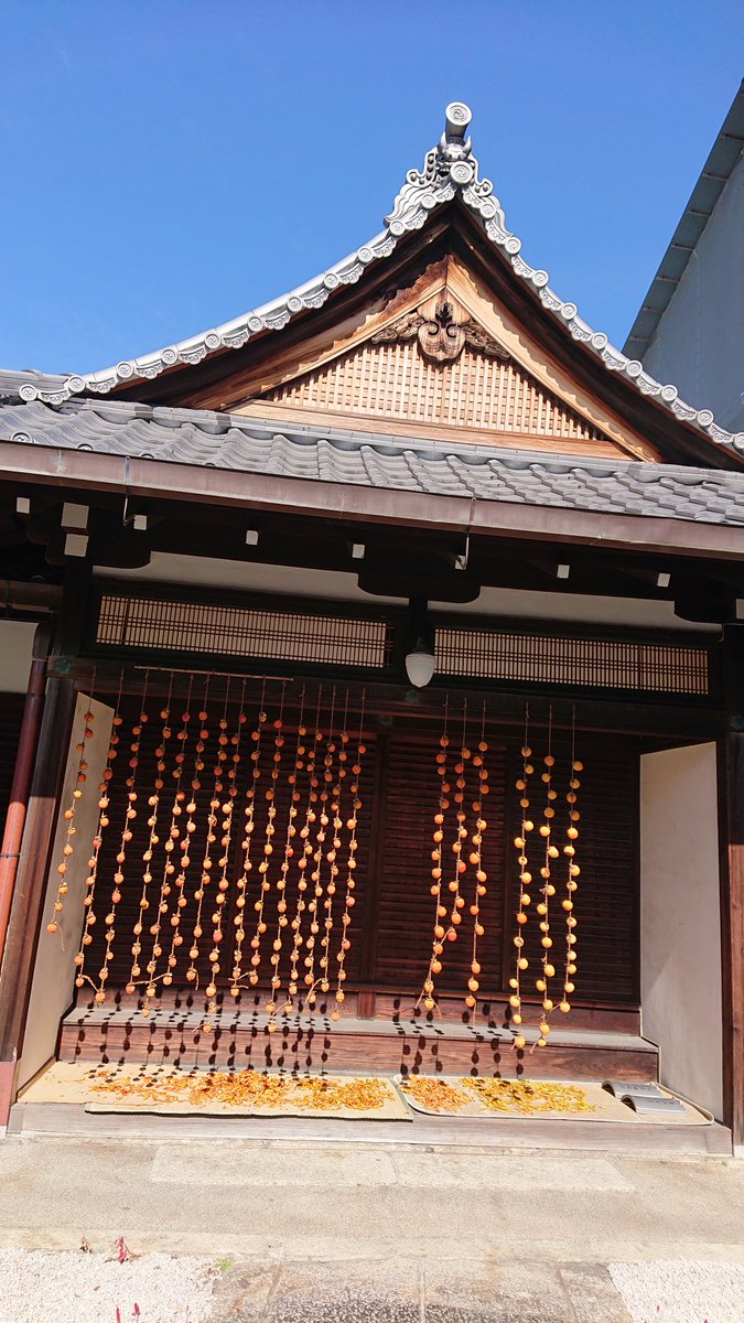 Elissa Tunisophile tweet media