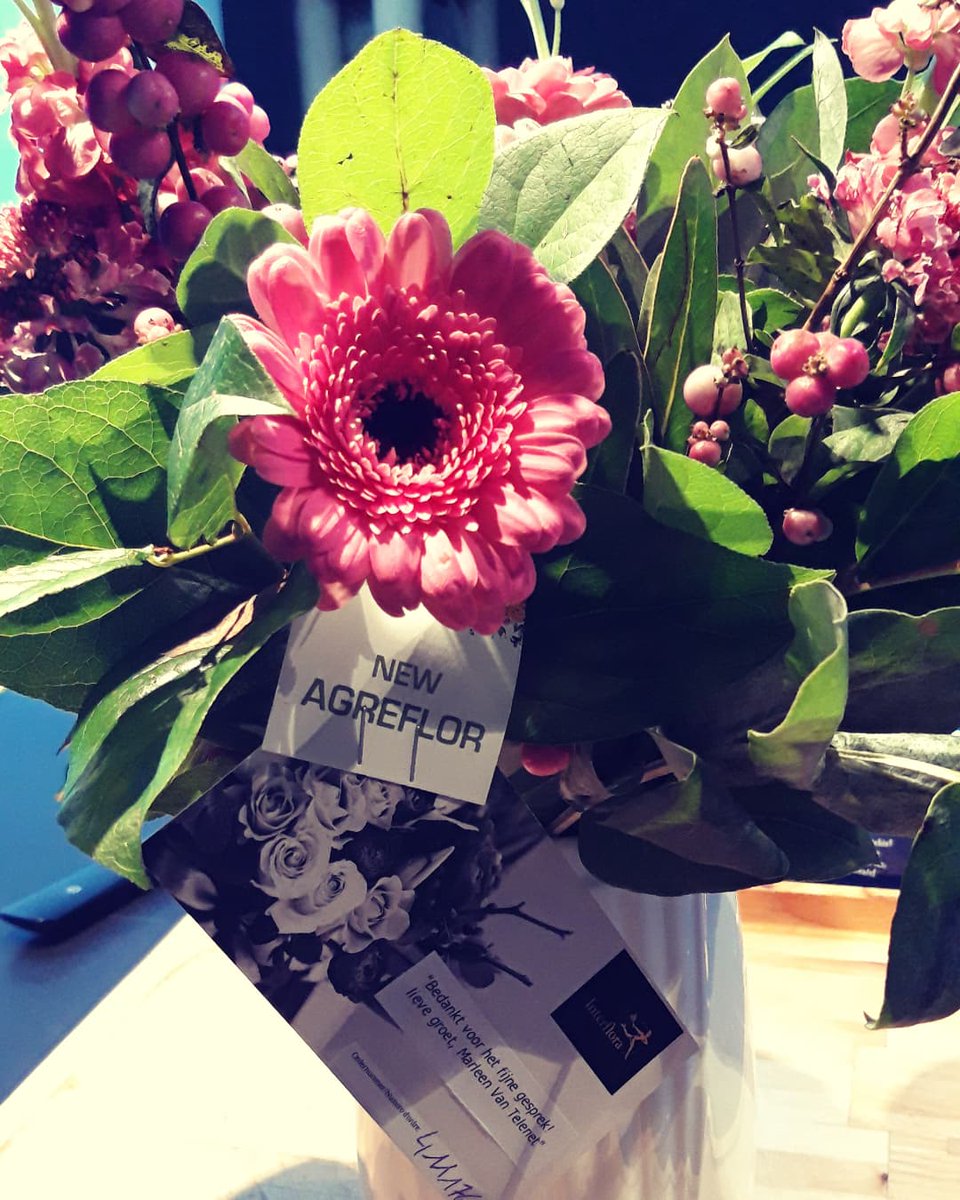 IrishTaradancer's tweet photo. En dan ontvang je bloemen van de lieve dame van de klachtendienst van @Telenet die alles opgelost heeft 💐
Als het positief is mag het ook gezegd worden! https://t.co/oGuSZ1cK9r