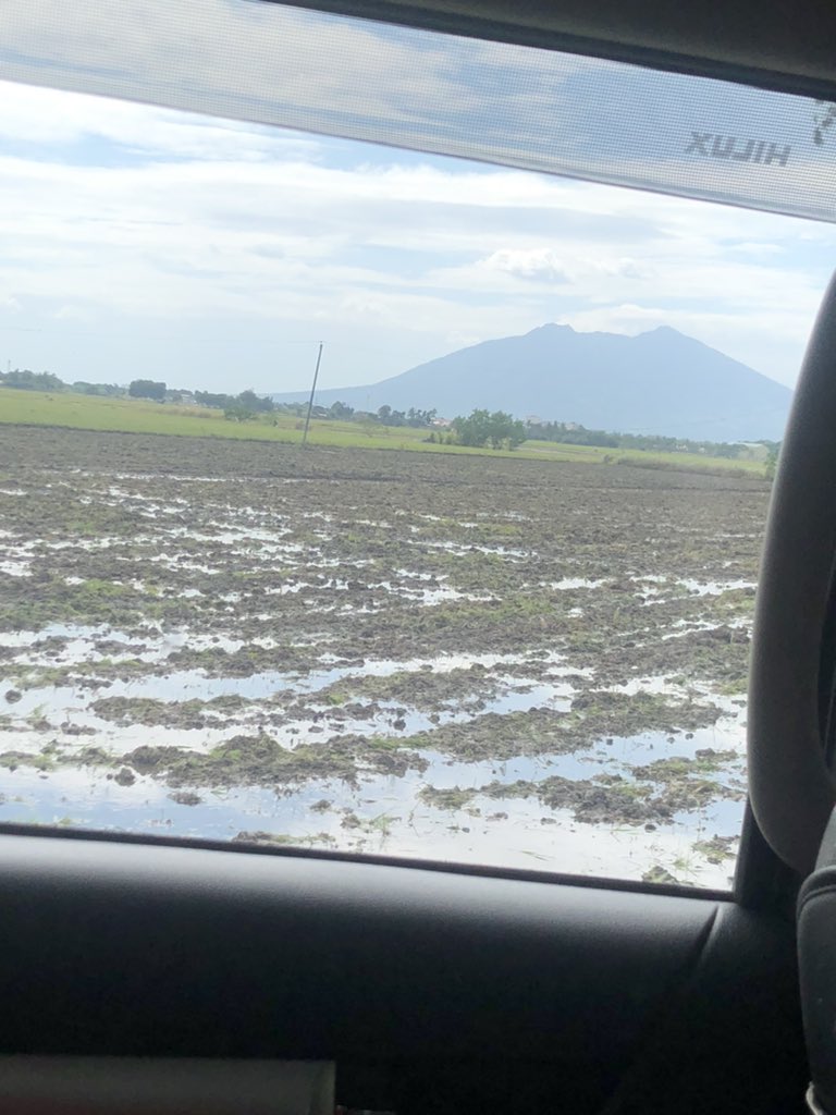 onetwothree_n's tweet photo. Everyday view🤎 https://t.co/YxHbUPU4ff