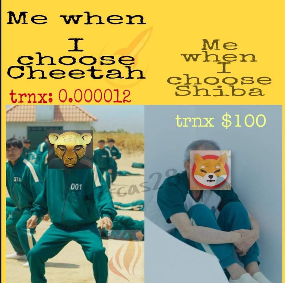 MommyCastle tweet media