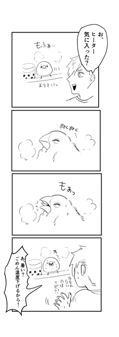 ヒーター導入 #文鳥初心者日記 