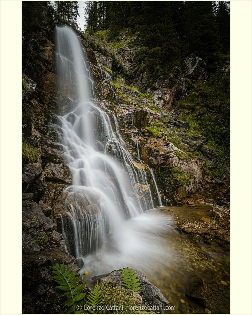 lcatta's tweet photo. Cascata del San Pellegrino 🇮🇹
.
.
#passosanpellegrino #landscape #longexposure #visitmoena #visittrentino #cascata #waterfall #landscapelovers #naturelovers #nature_shooters #longexposurephotography #landscapephotography #waterfallphotography #naturephotography #waterfallhun… https://t.co/jQsnGy3KwZ