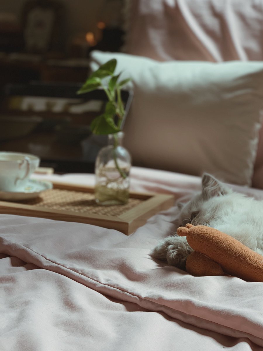 nortta1991's tweet image. Morning🌥☕️🐾