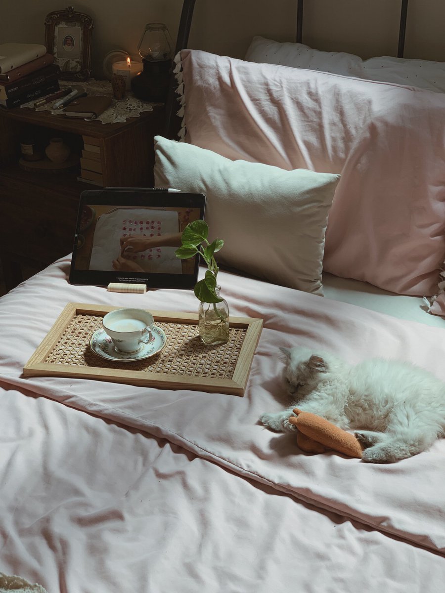 nortta1991's tweet image. Morning🌥☕️🐾