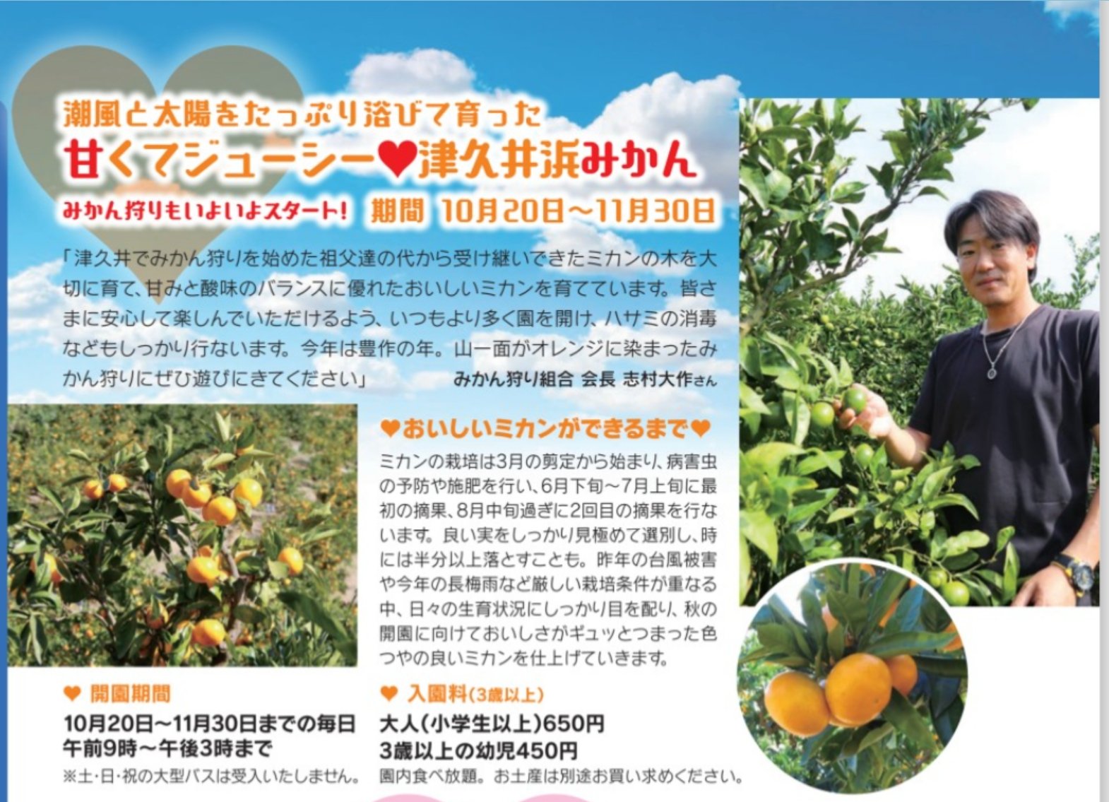 志村大作農園 Twitter Search Twitter