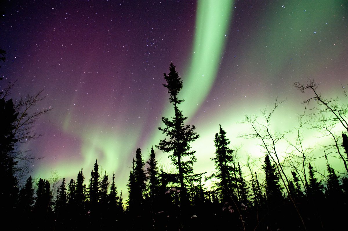 If you have clear skies tonight you have to look for lady aurora. Never have I seen it listed as a 7. I hope you find her. Of course we have rain and clouds!  🌍🧞‍♂️ gi.alaska.edu/monitors/auror…