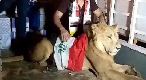 IlllIlIllI11's tweet photo. الذكرى الثانية للحدث العظيم

احضار اسد الى ساحة اعتصام بابل
بعد ما جلبت الشرطه كلاب بوليسية لتفريق الثوار، فقام احد المتظاهرين بجلب اسد الى ساحة الاعتصام ، وما هي الا دقائق لم يبقى بالساحة لا كلاب ولا شرطة ولا متظاهرين😂 https://t.co/T3g70XXcz0