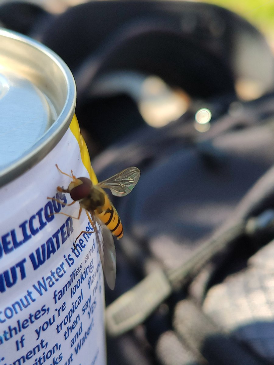 Blazzord tweet media