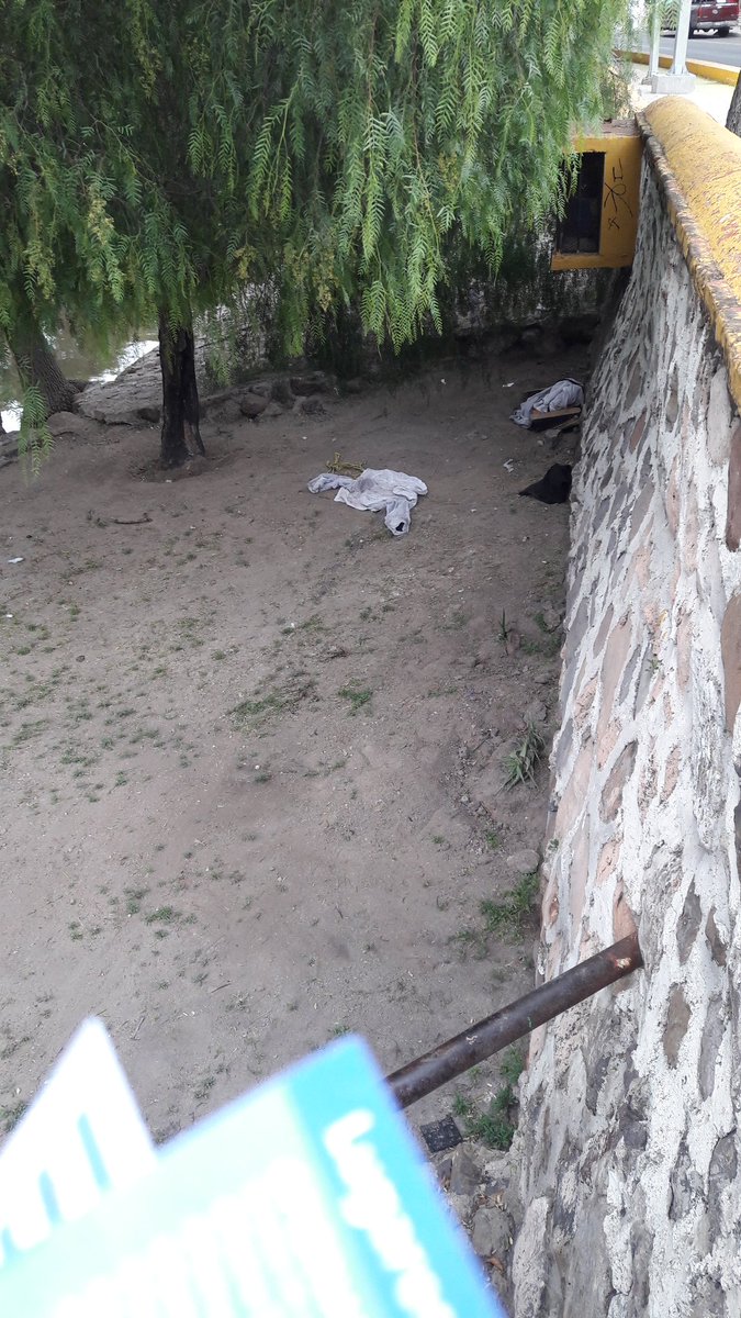 MarioeOrtega's tweet photo. Qué se podría hacer *ayudarles, retirarlos... con las personas en situación de calle q viven bajo el puente a La Revolución? A la cantidad de basura que dejan ahí y la basura que lleva el Río Querétaro @spublicosqro @SSPMQueretaro @LuisBNava. Se drogan, queman basura, defecar... https://t.co/TsJA9qRV7R