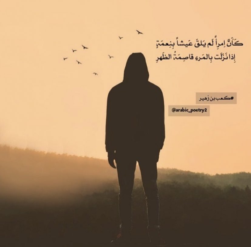 sh_shi7's tweet photo. https://t.co/OLA6cAsSWt