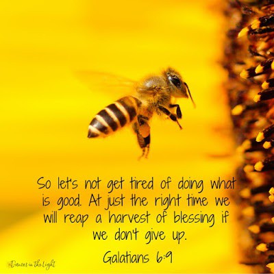 dances_light's tweet photo. You can be confident that God is by your side, cheering you on.

Read more 👉 https://t.co/m4tUOpLrds

#Galatians #votd #encouragement #dogood #blessings #dontgiveup #churchcommunications #reapaharvestofblessings #Christianblogger #freegraphics #socialmediamanager https://t.co/wXnAgJB9VA