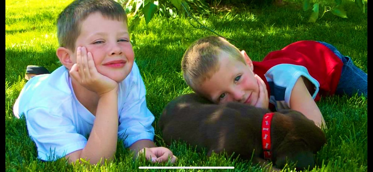 Long3Mo's tweet image. Our family wants to thank @MNpets for their support and compassion as we said goodbye to our loving boy Wally Chewbacca❤️
MN Pets facilitate peaceful home experiences for those challenging end of life moments #blessedbychocolate