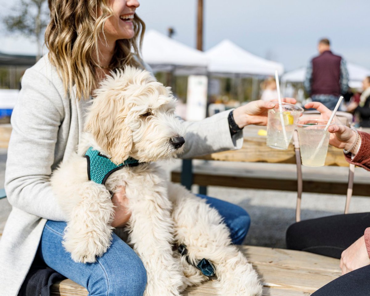 FireflySpirits's tweet photo. It's not drinking alone if the dog is with you. ⚡️ #FireflySpirits https://t.co/RCwsMwuTGL