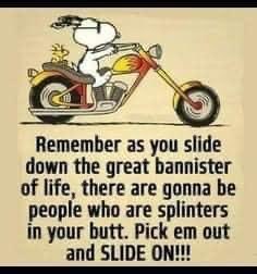 JulieBurkeWatts's tweet photo. Great advice ☺️ #SlideOn 😆
#ageing #ageingunplugged #menopause #performance #selfworth #confidence #mentalhealth #motivation #success #BWRT @BWRTInstitute @chenoaparr #journorequest https://t.co/q5jmNmCu1w