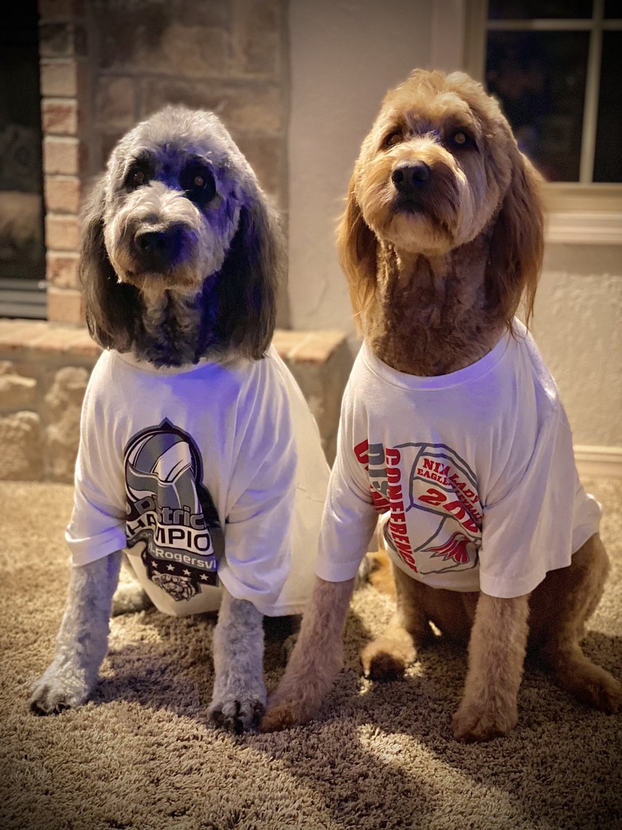 Tim Murphy tweet media