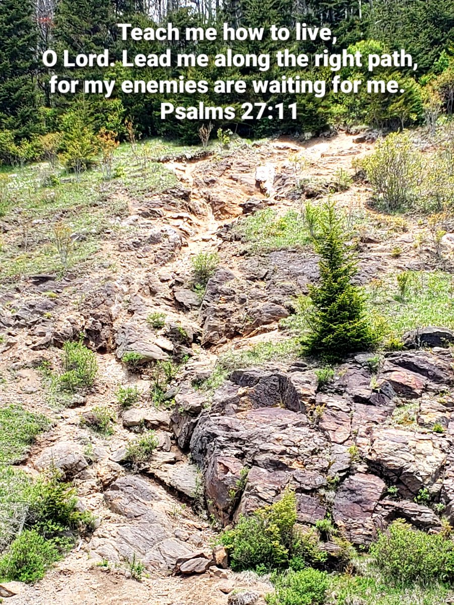 John4_36's tweet photo. #deLIGHTinHIM https://t.co/yPDK8llRTw