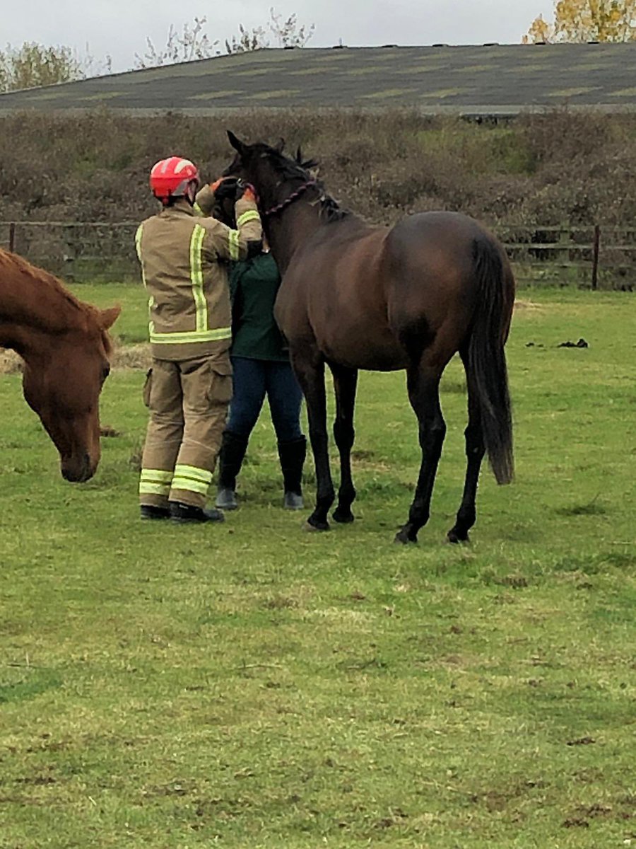 SFRSTraining's tweet photo. Huge thanks to Suffolk rural college at Otley campus for assistance with this week's Animal Rescue level 2 training. A fantastic facility with very knowledgeable staff. Find them on Instagram @suffolkruralfarm https://t.co/8VAYExxTUZ