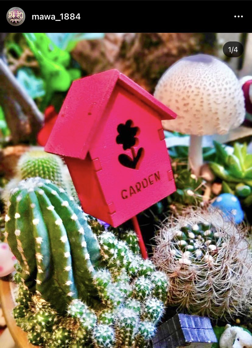 MAWA_1884's tweet photo. 🌵🪴🌴🌿🌱
多肉植物を植えている鉢の中に謎の #きのこ が生えてきました🍄
調べたら、ある #毒キノコ に似てますね😂 
成長が速くて、傘がどんどん開いてきました⛱
成長を記録する #タイムラプス 動画を作りたいですね😆
#富の分配企画 
#きのこ #香菇 #多肉植物 #植物 #succulents #かわいい #cute https://t.co/YeFMNr1Vbi