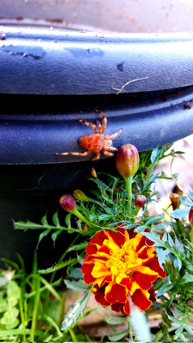 Kelly Woodroffe tweet media