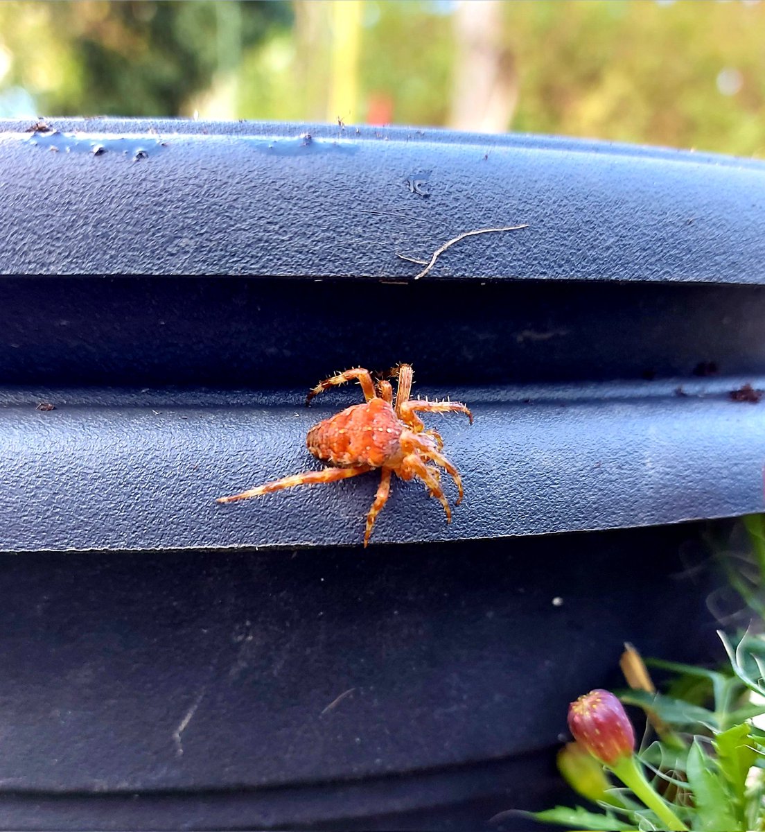 Kelly Woodroffe tweet media