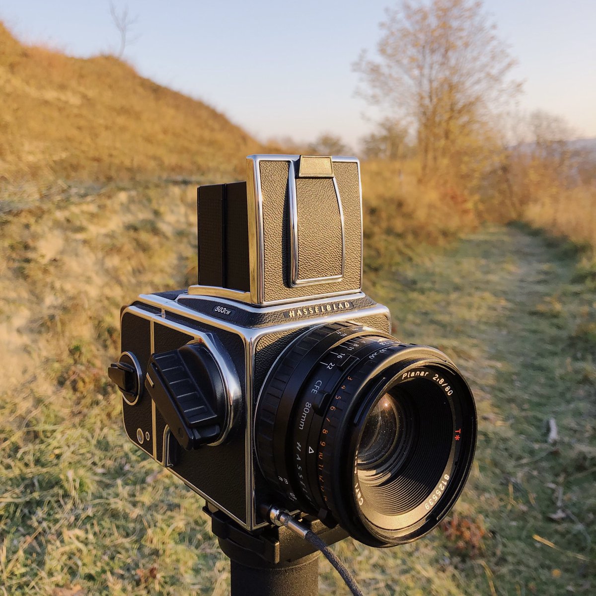LorantPandea's tweet photo. The camera 🤝 The view 🍂 https://t.co/p4LNRnY8Yi