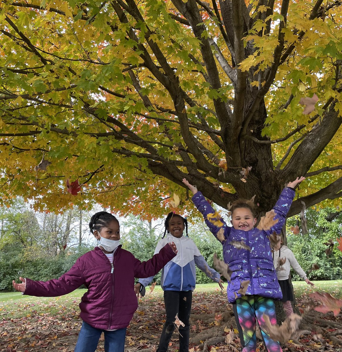 MissCarrGrade1's tweet photo. First grade is loving the beautiful fall foliage on campus! 🍂 #onlyatic #icallthetime #ic2122 https://t.co/LAwokfrVEl